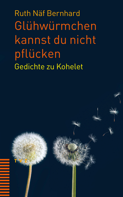 Cover Glühwürmchen kannst du nicht pflücken